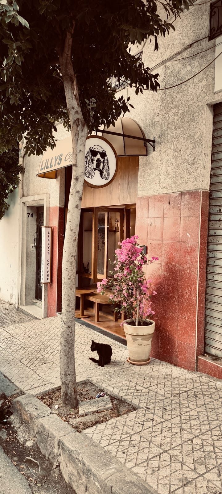 Lilly’s Coffee