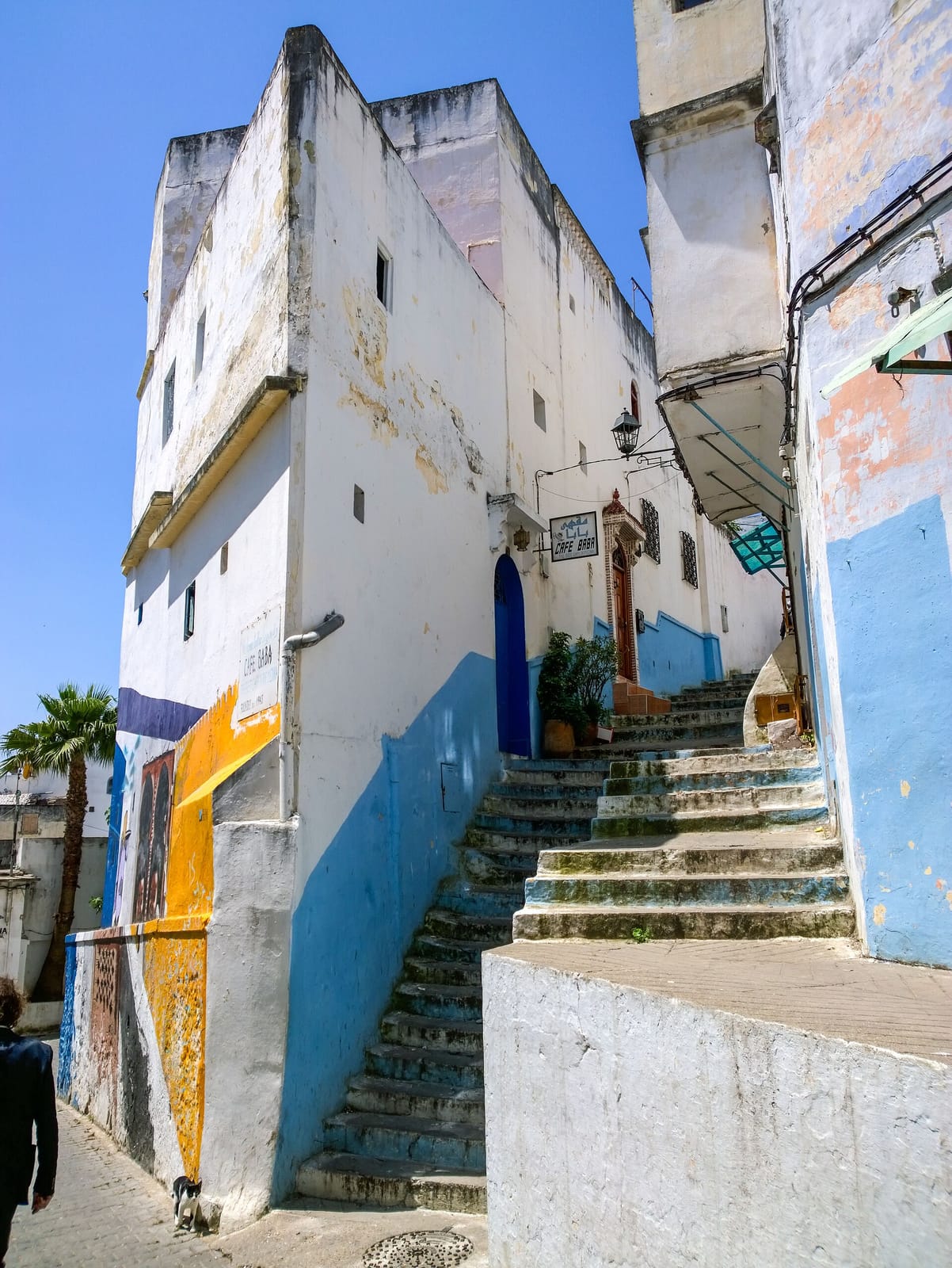Café Solimane photo 2