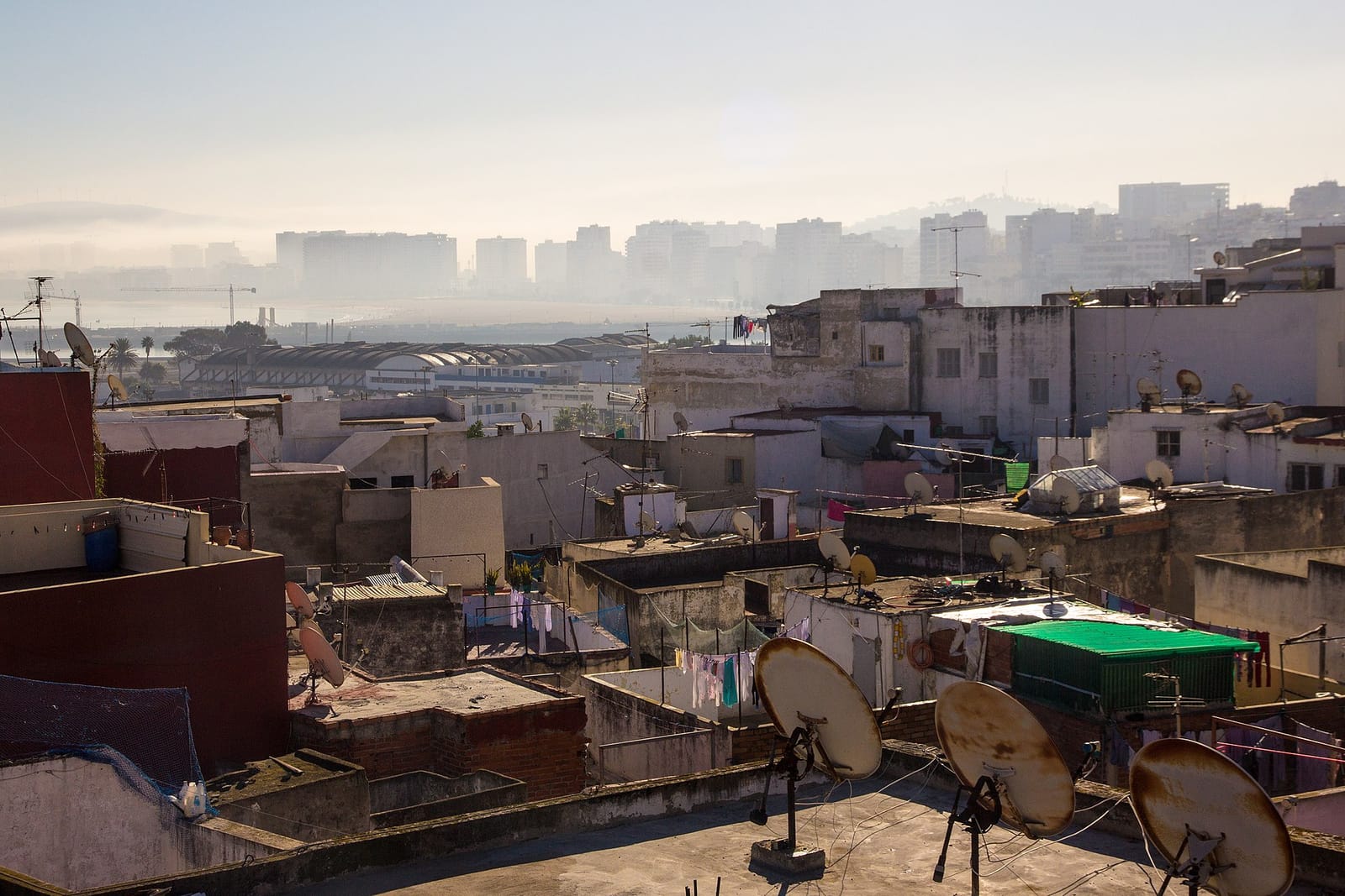 Ayoub Koop Coffee photo 2