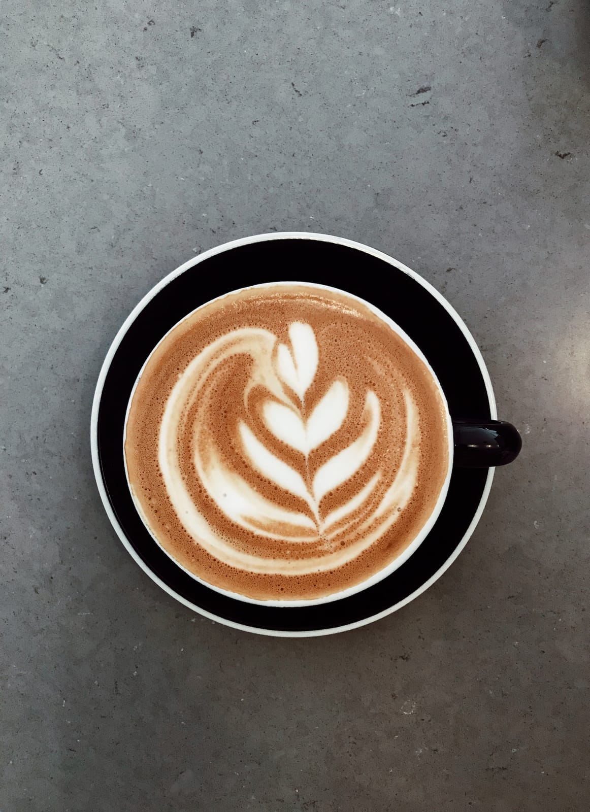 Humble Coffee - Florida Rd photo 8