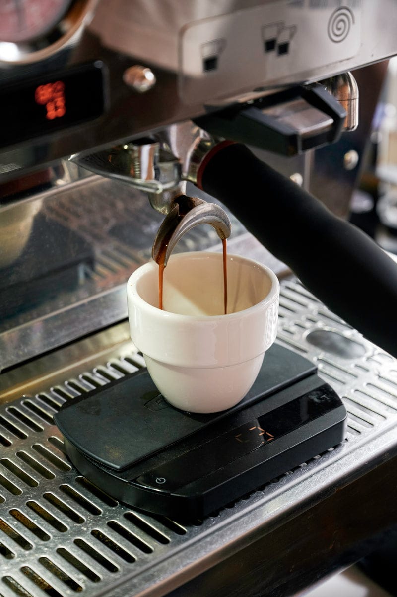 Father Coffee Kramerville photo 8