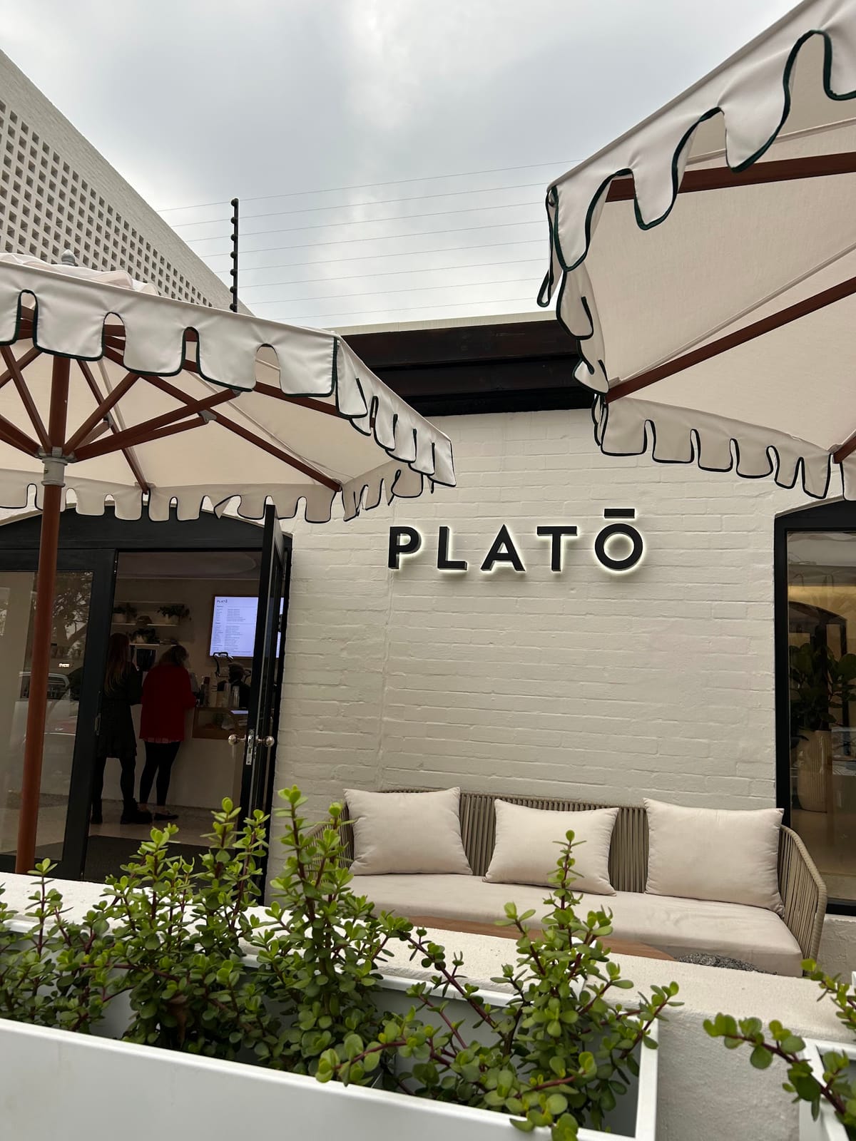 Platō Coffee - Volley Roper