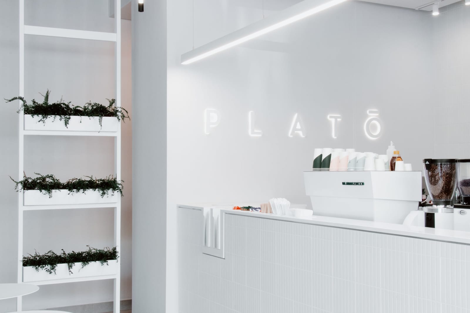 Platō Coffee - Elardus Park photo 3