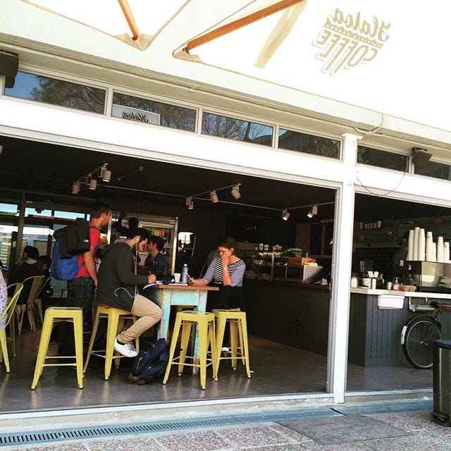 Haloa Coffee - University of Pretoria Hatfield Campus