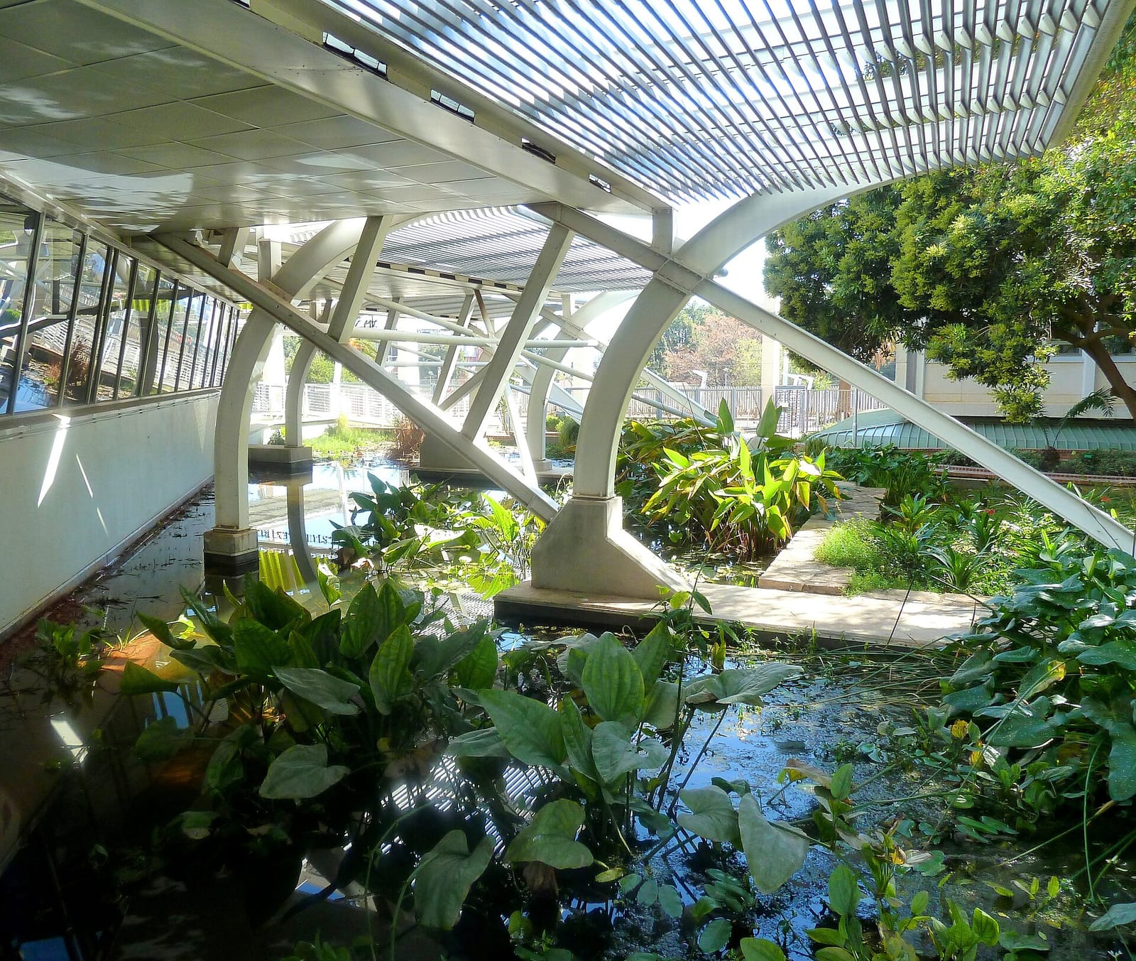 Haloa Coffee - University of Pretoria Hatfield Campus photo 2