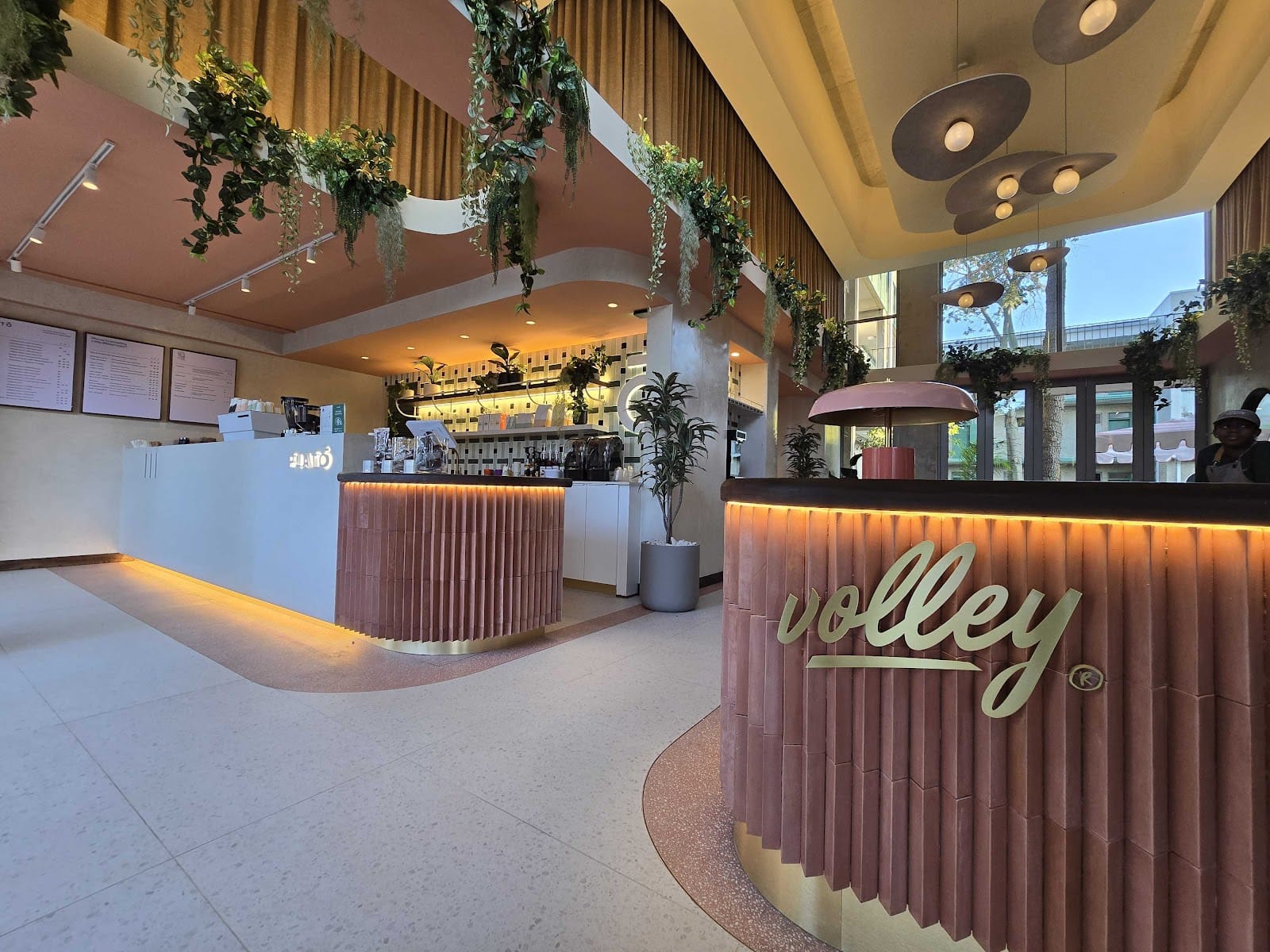 Platō Coffee - Volley Bailey's