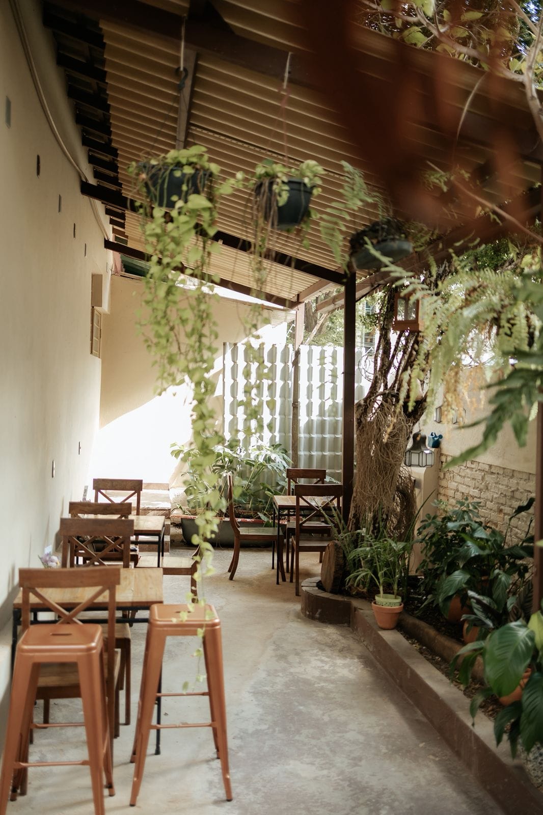 Amoras Café - Torrefação e Cafeteria