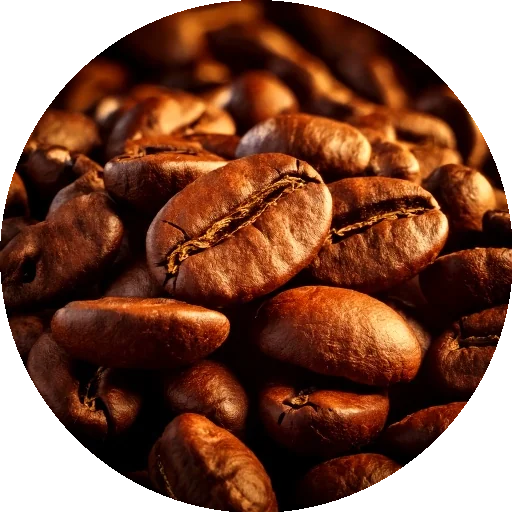 Specius Coffee photo 7