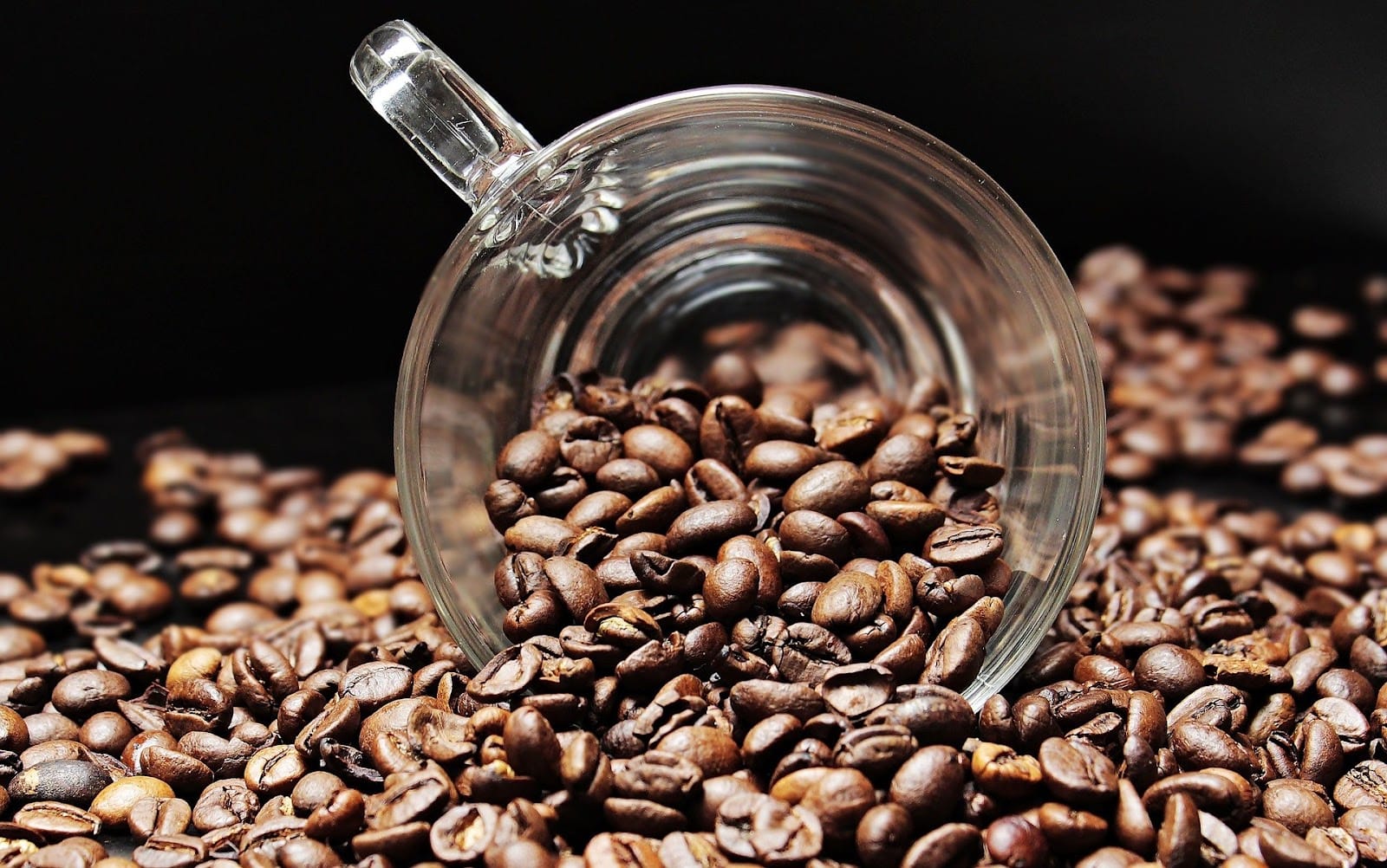 Cold Brew Café Torrido