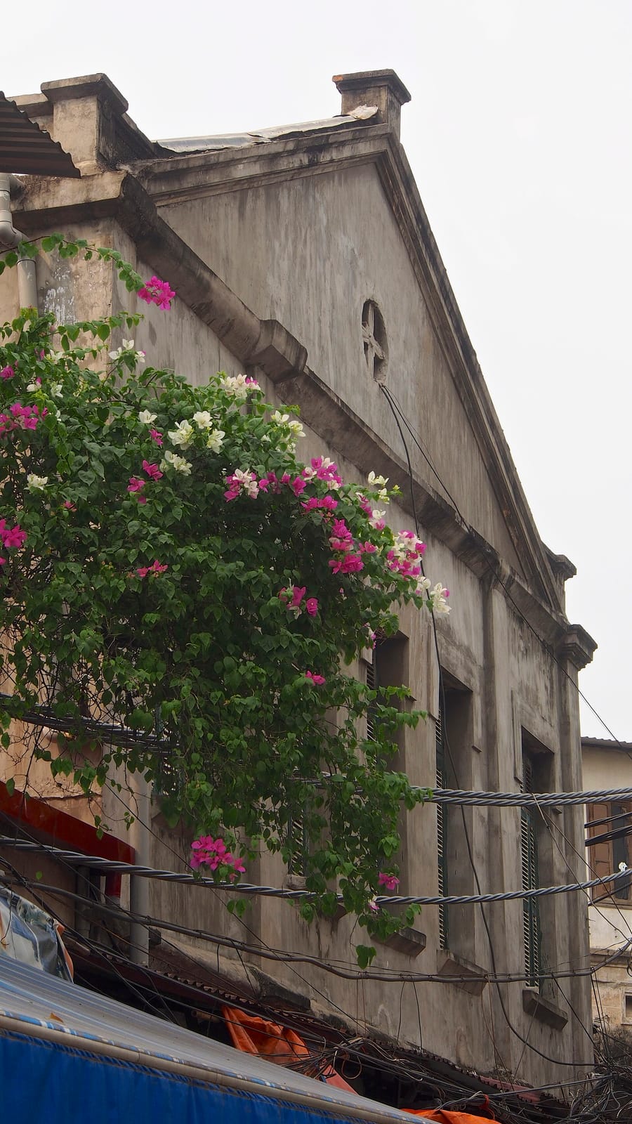 Vie Coffee photo 3