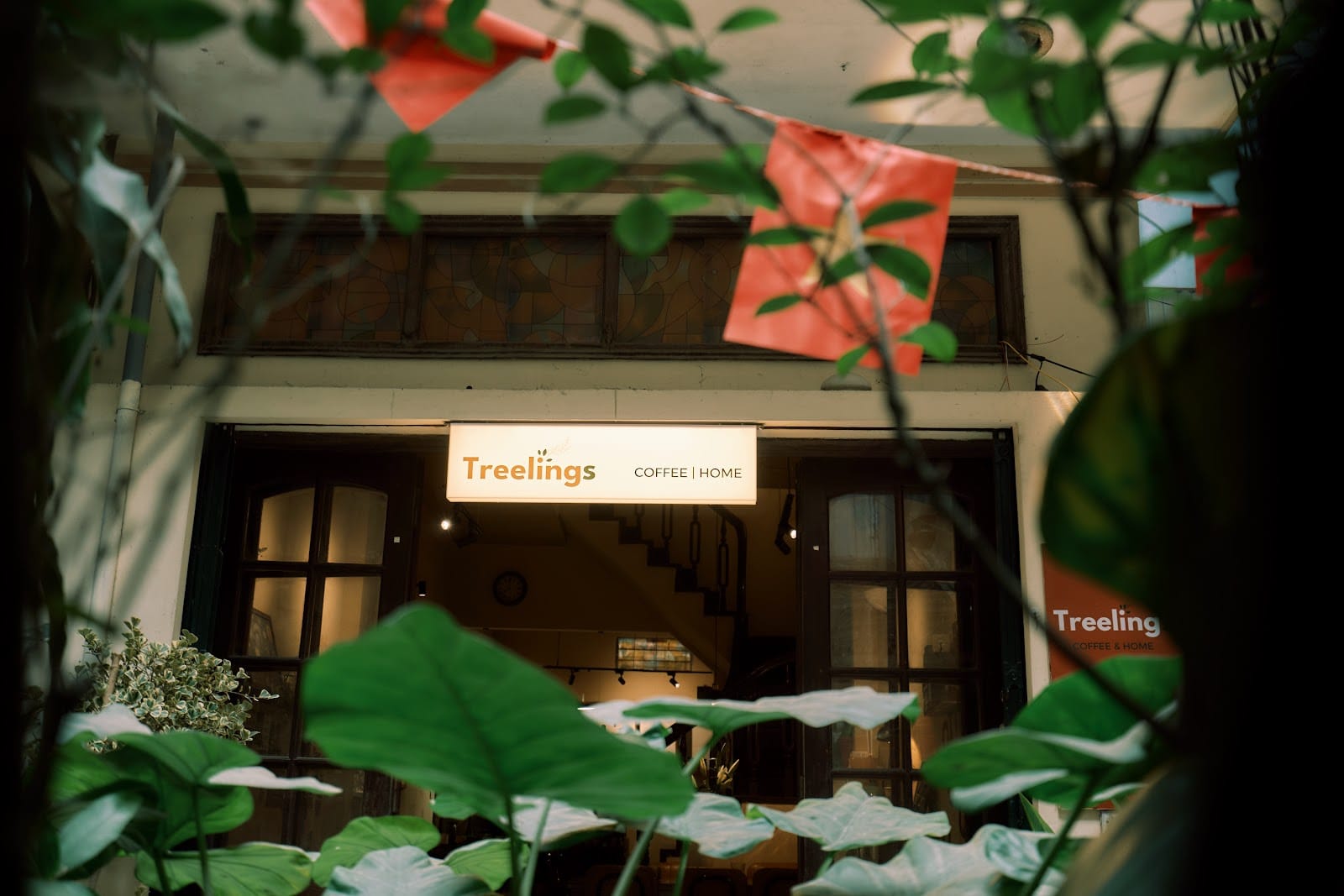 The Treelings Coffee - Hidden Coffee