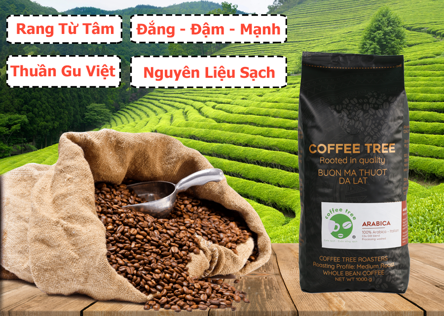 Coffee Tree Roasters - Trương Văn Bang photo 2