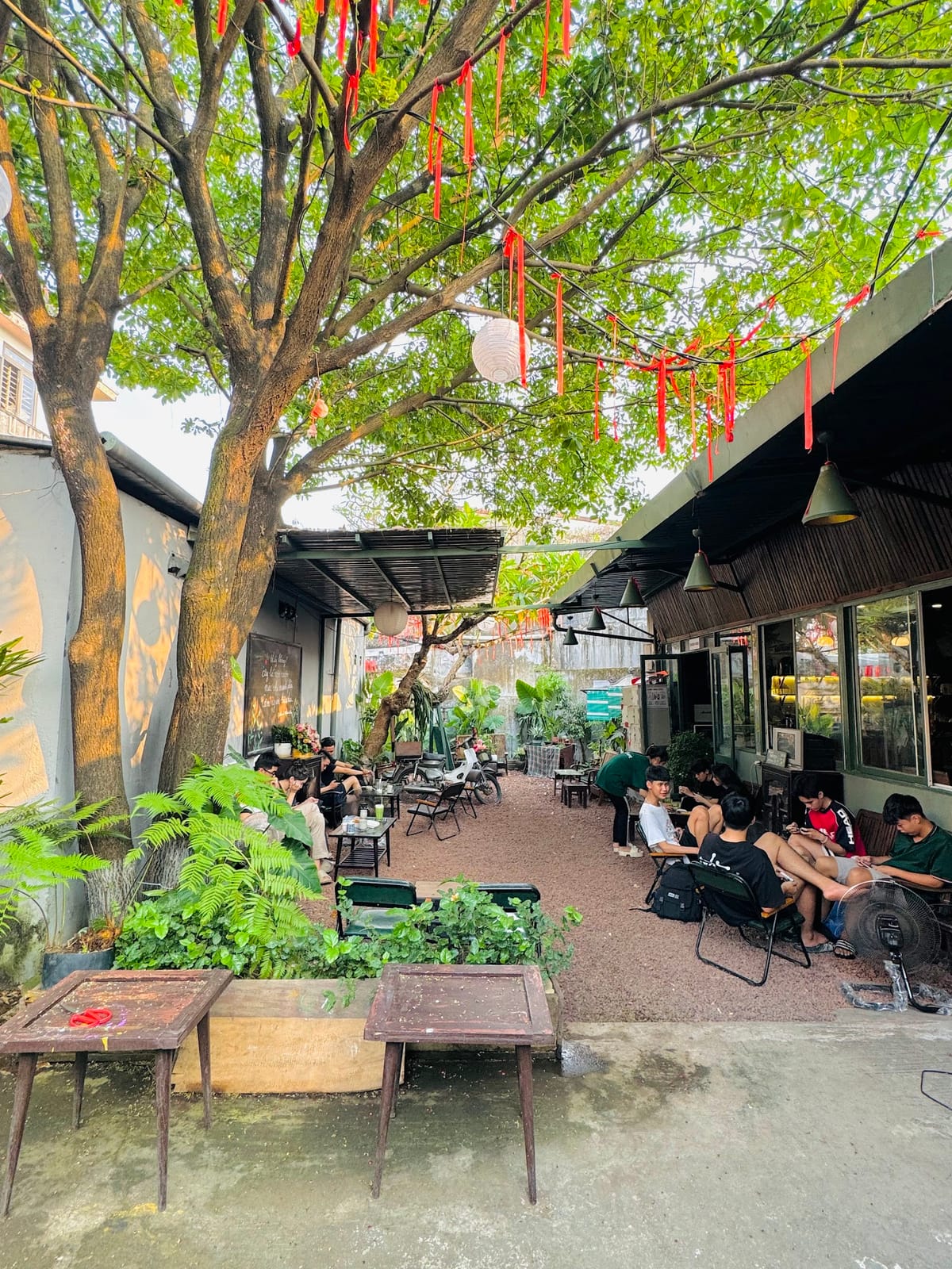 Slow Café