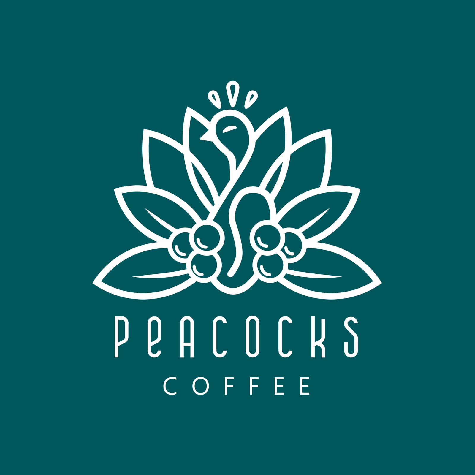 Peacocks Coffee photo 2