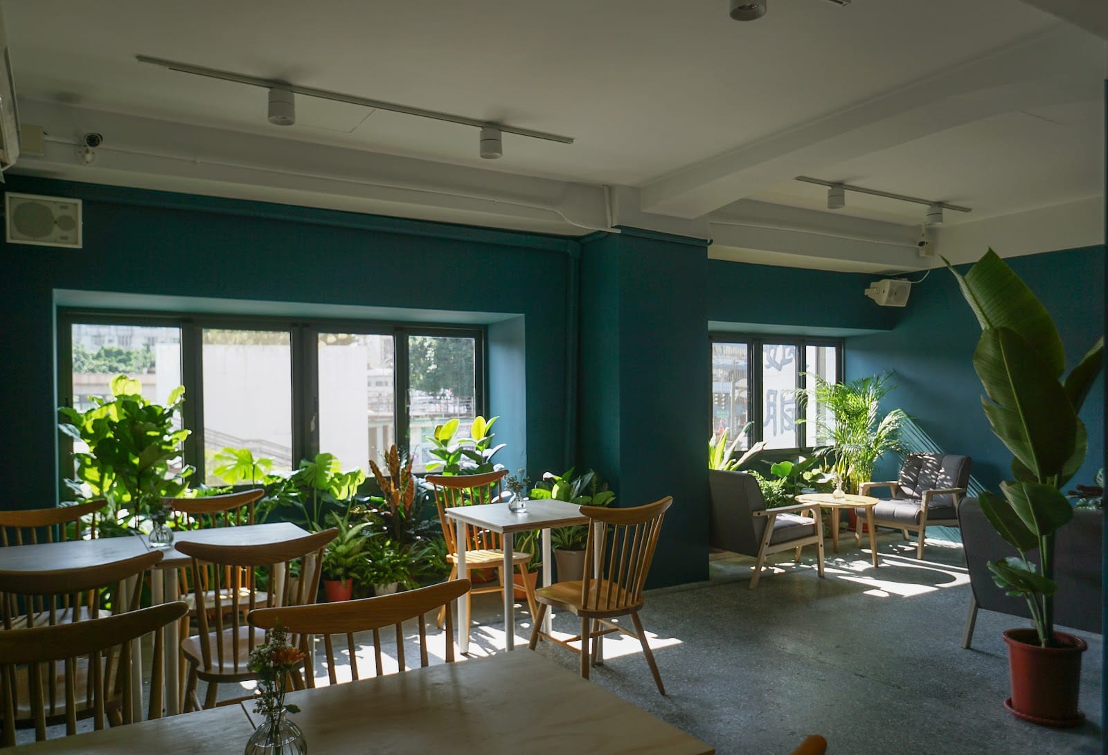 Peacocks Coffee