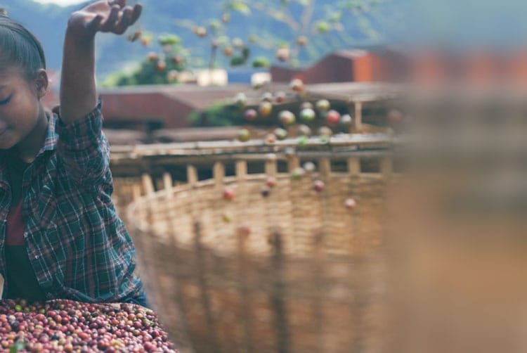 台中咖啡友樂YL Speciality Coffee Roaster｜北屯自家烘焙咖啡店｜水湳咖啡豆專賣店｜藝伎咖啡豆濾掛式咖啡供應｜綠美圖附近咖啡廳｜中央公園附近咖啡館｜停車友善 photo 2
