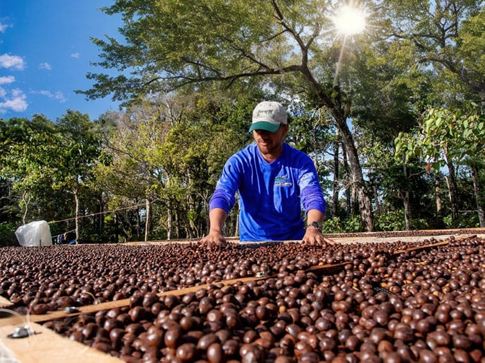 台中咖啡友樂YL Speciality Coffee Roaster｜北屯自家烘焙咖啡店｜水湳咖啡豆專賣店｜藝伎咖啡豆濾掛式咖啡供應｜綠美圖附近咖啡廳｜中央公園附近咖啡館｜停車友善 photo 4