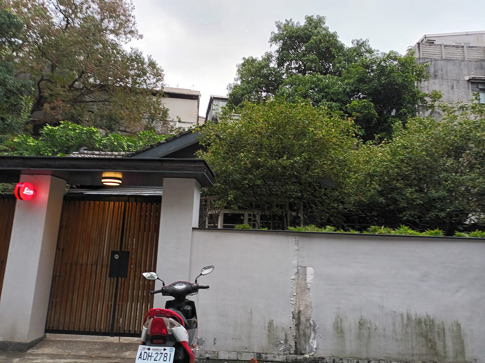 CAT.jpg cafe photo 2