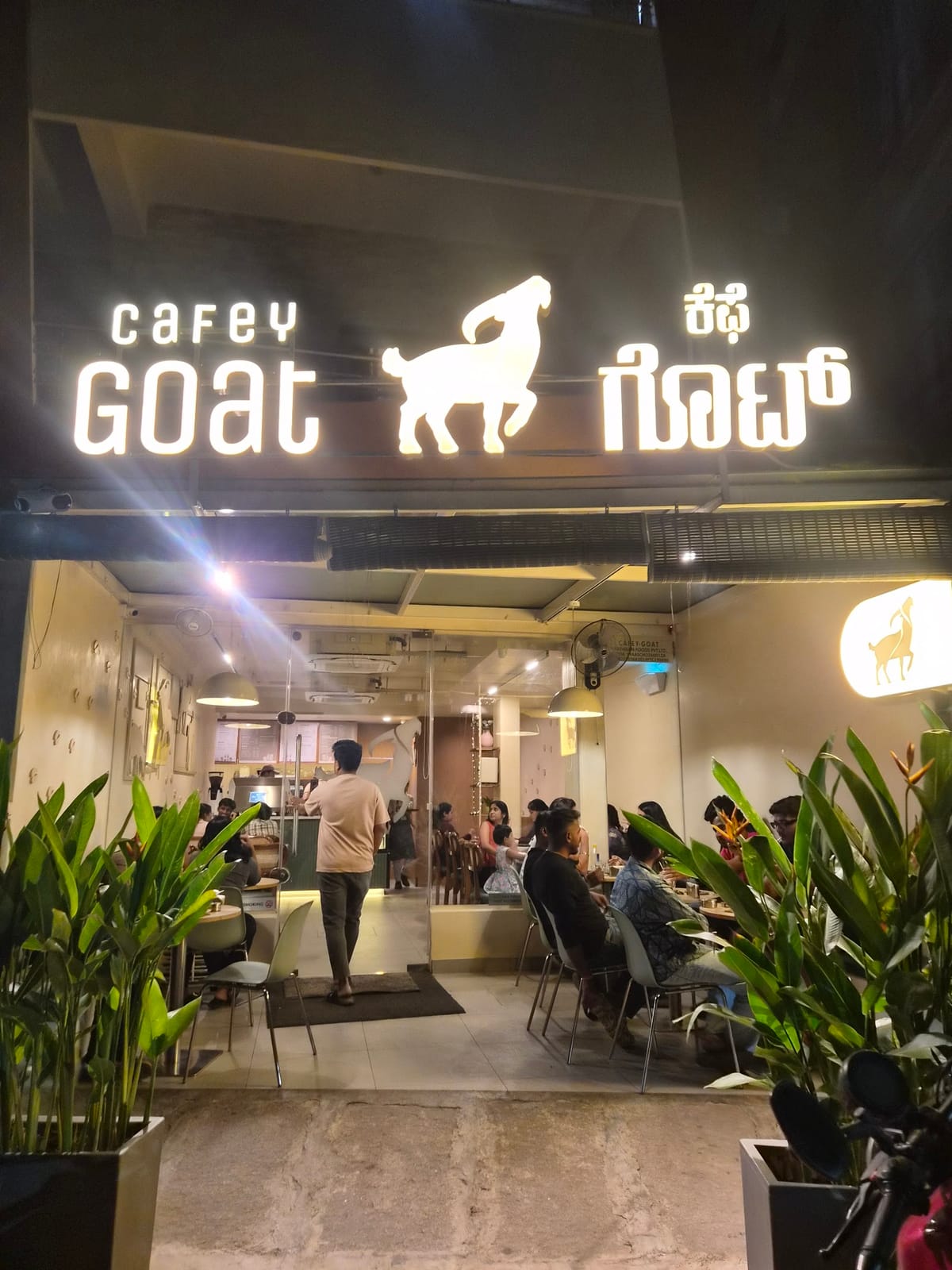 Cafey Goat
