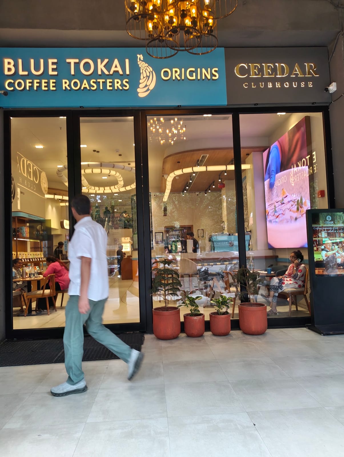 Blue Tokai Coffee Roasters Origins