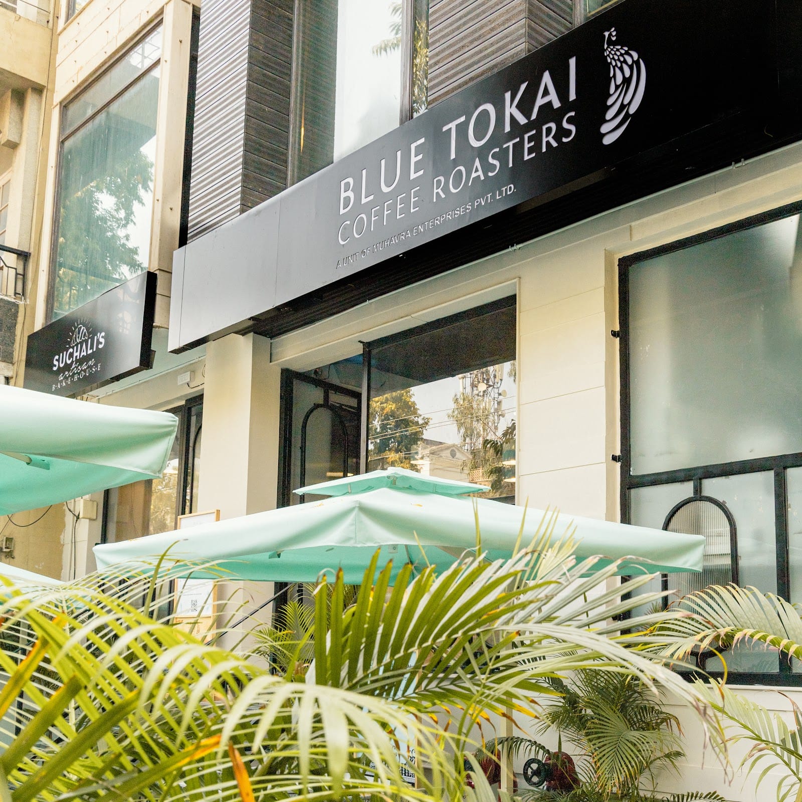 Blue Tokai Coffee Roasters