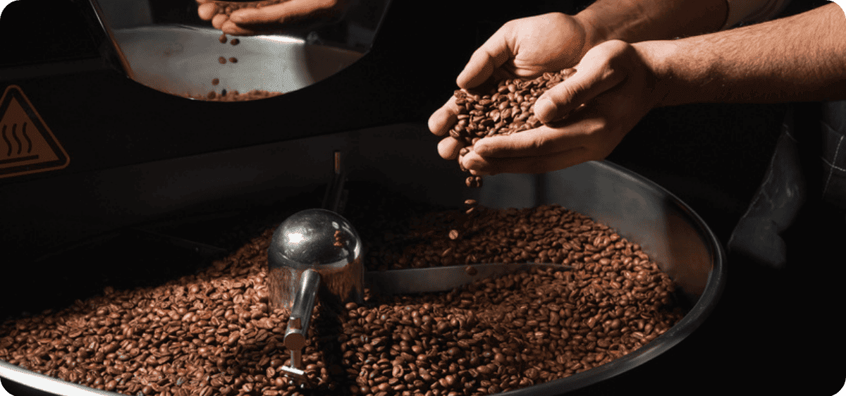 Rossette Coffee Lab