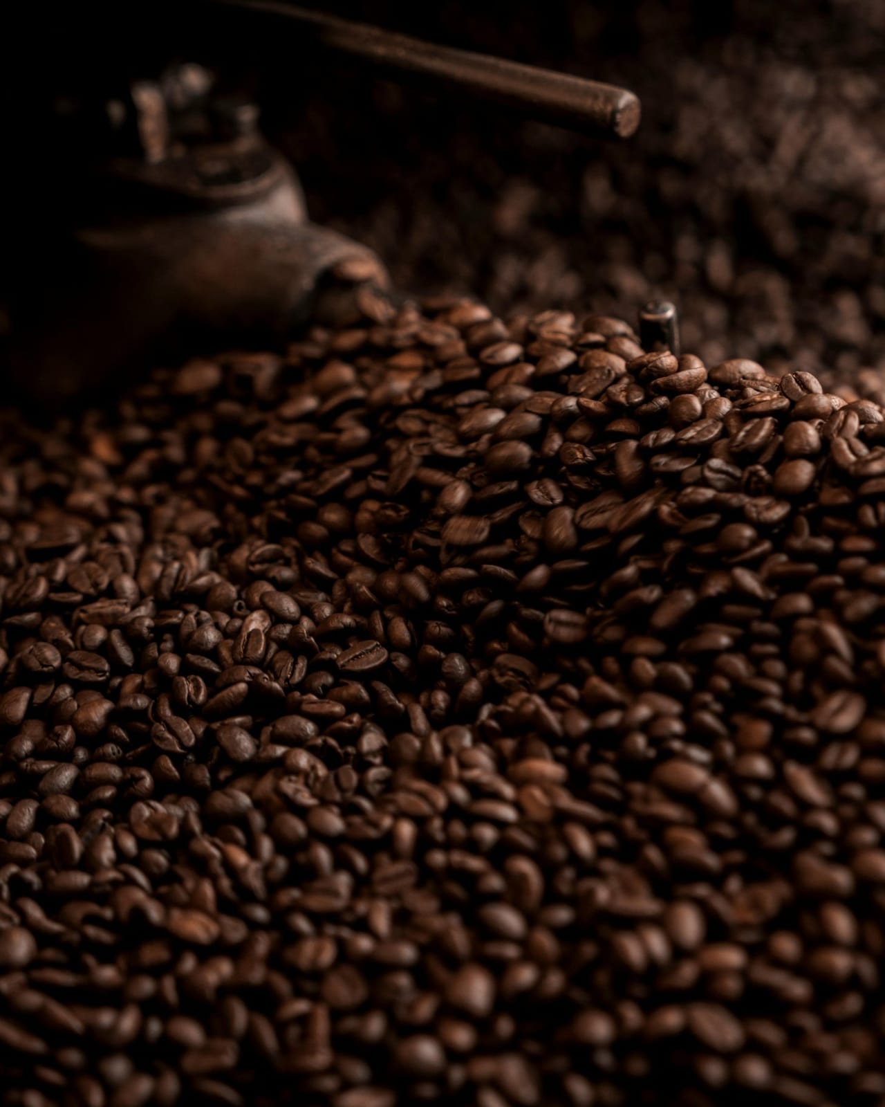 Candour Coffee Roastery photo 4