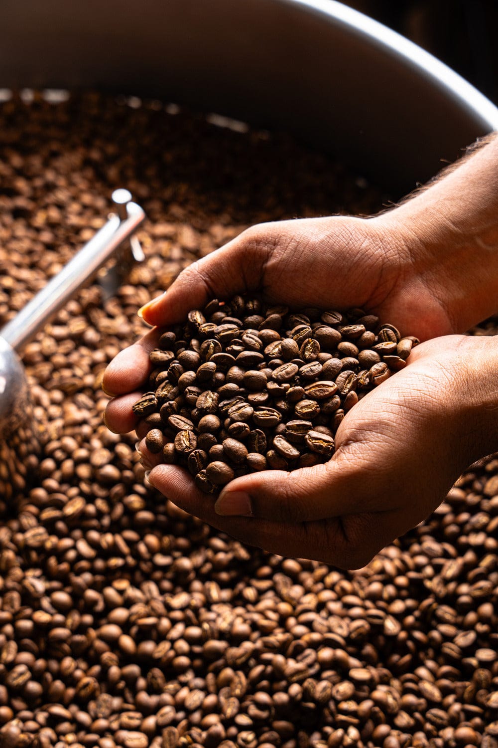 Silk Road Coffee Company Experience Center photo 7