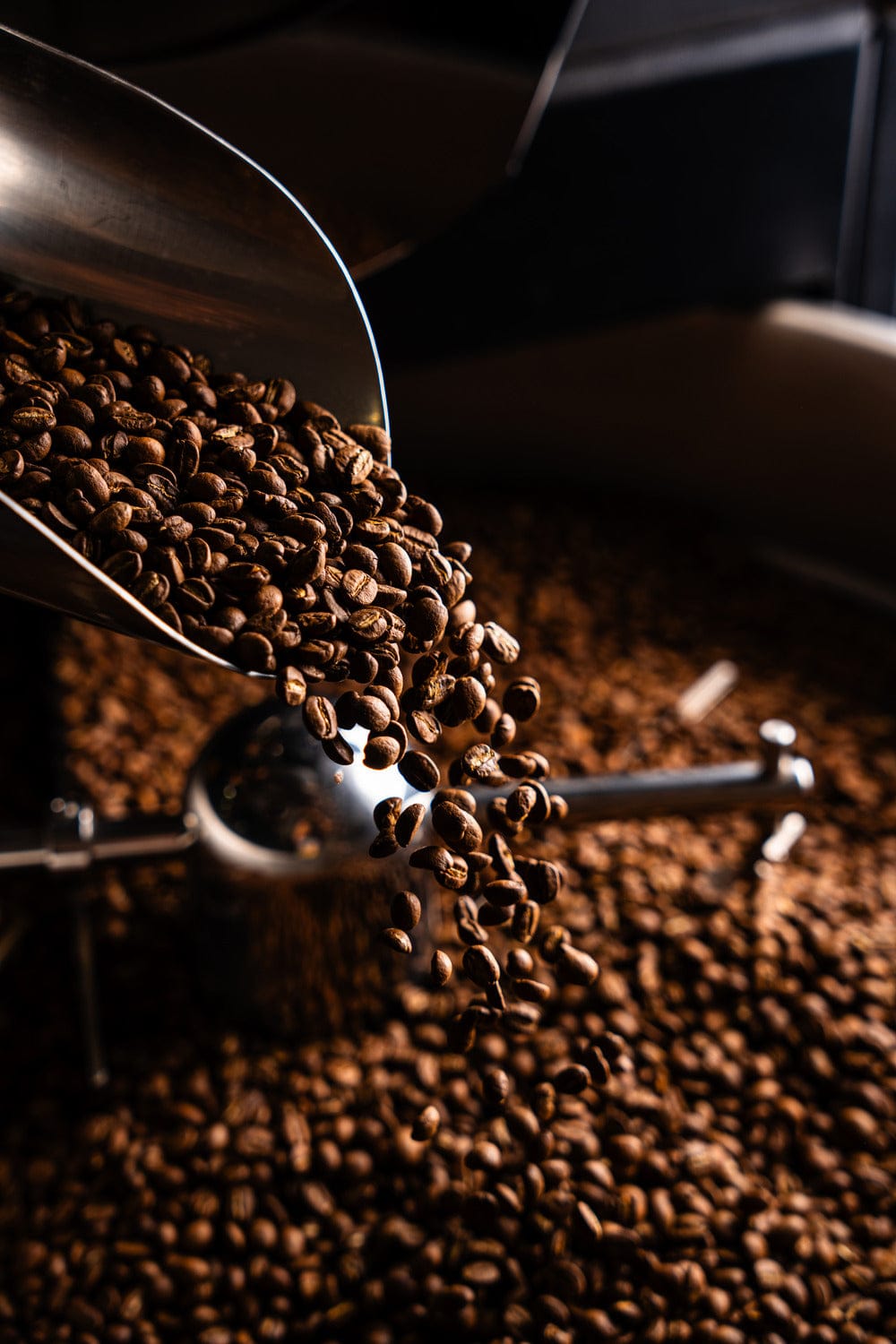 Silk Road Coffee Company Experience Center photo 8