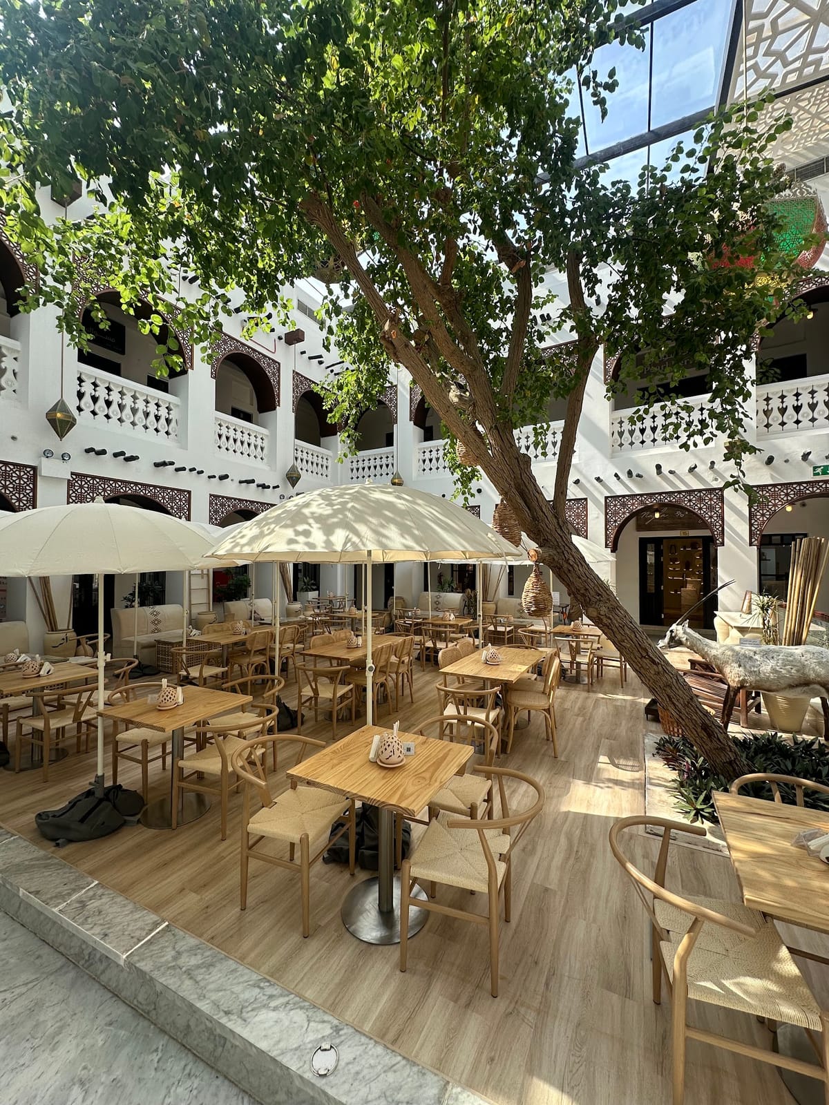 Haql Cafe