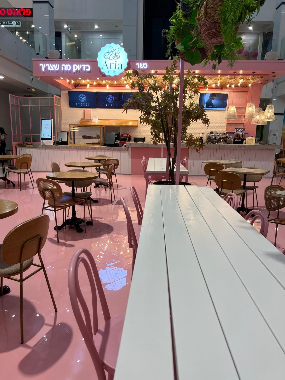 Aria cafe אריאה קפה