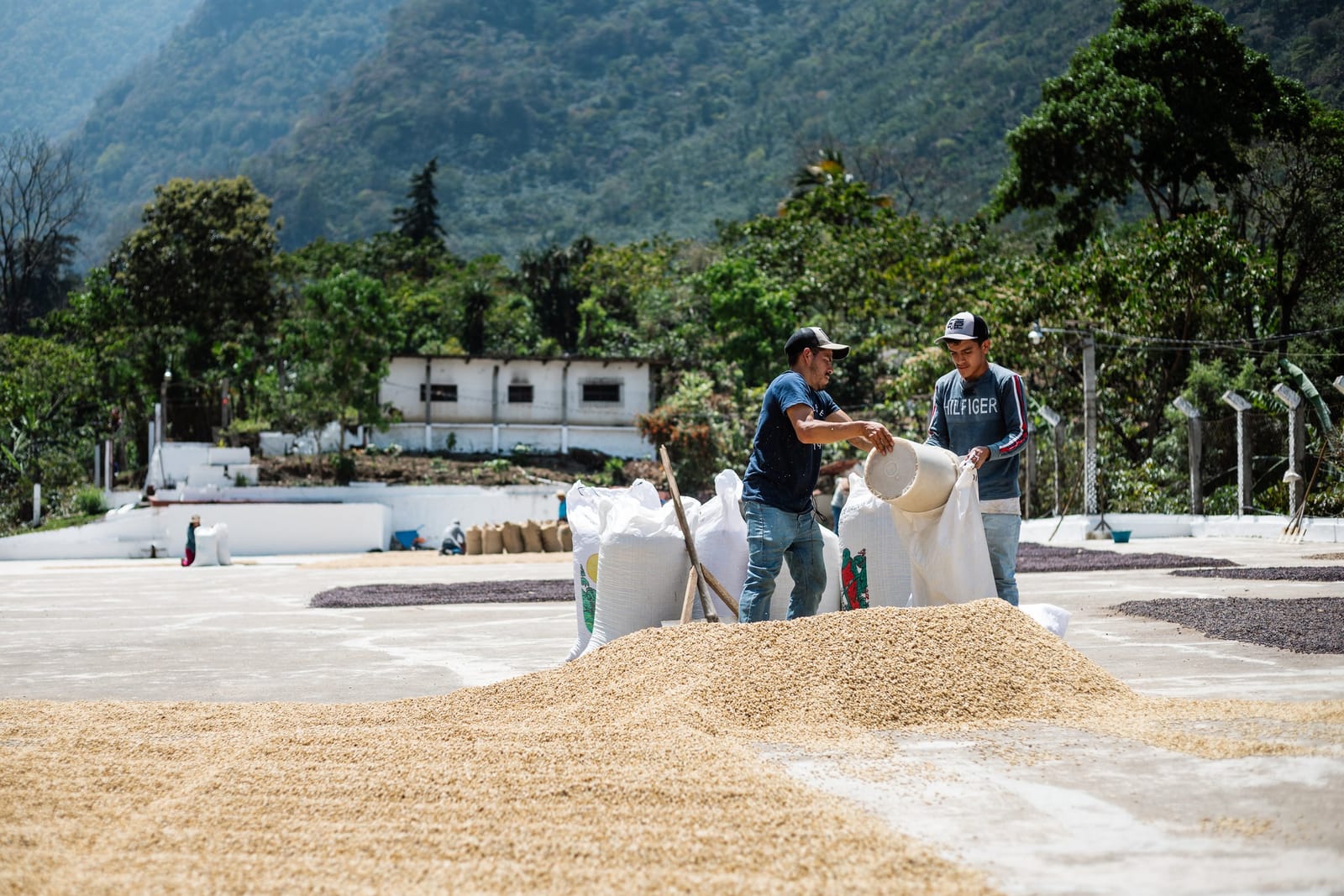 Humble Coffee Roasters photo 5