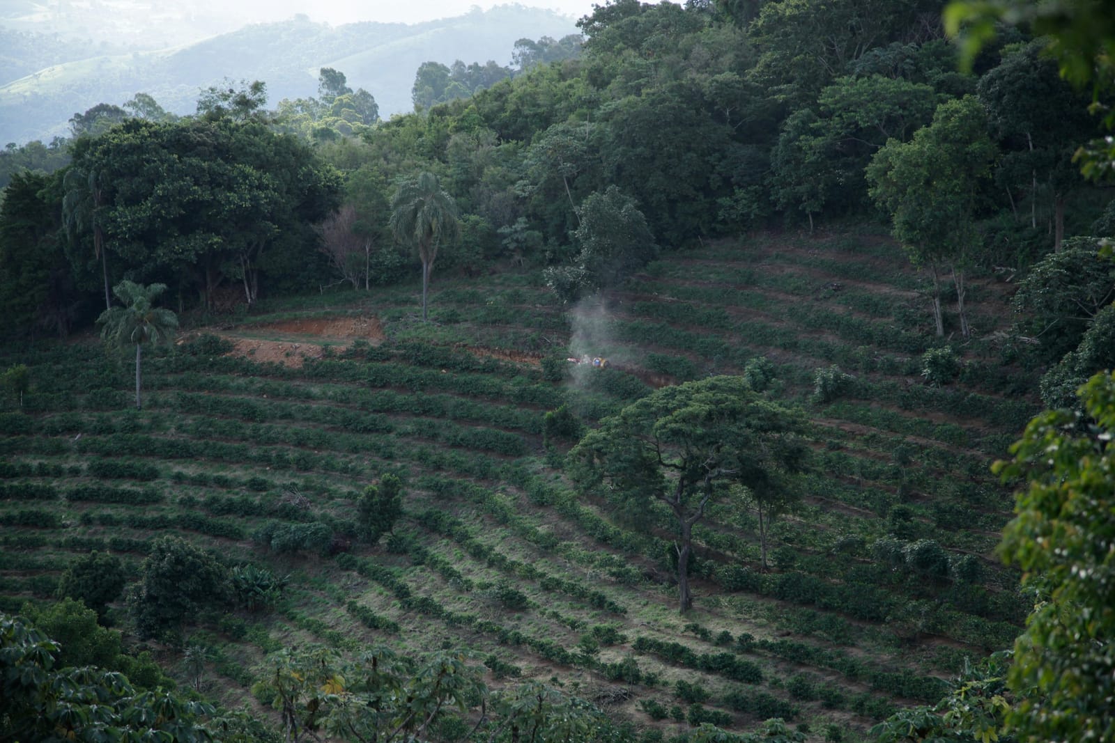Humble Coffee Roasters photo 2
