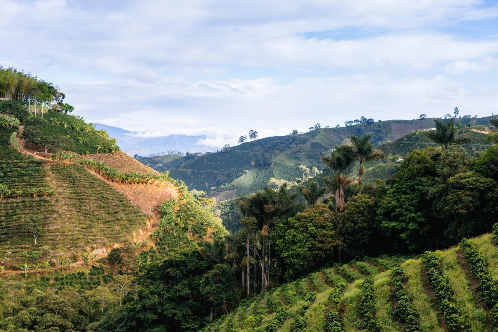 Humble Coffee Roasters photo 3