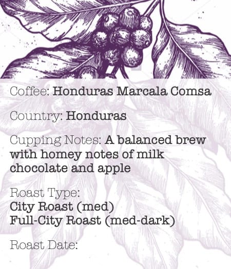 Mount Pleasant Roastery photo 5