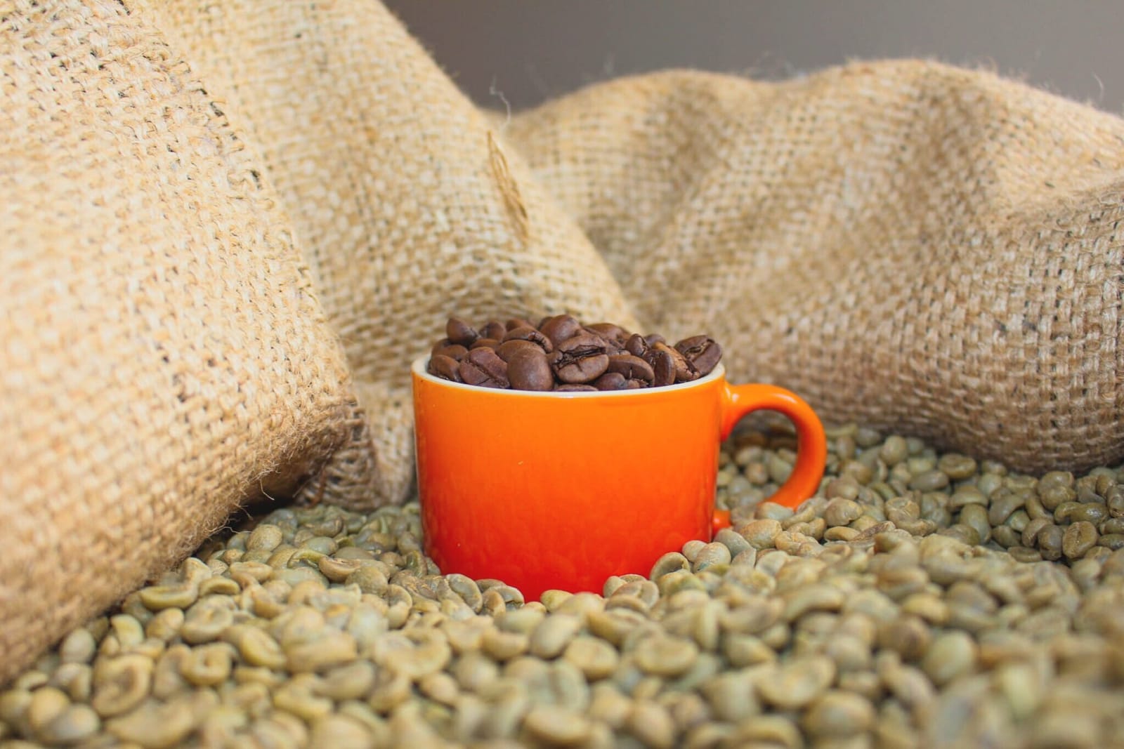 Aspen Coffee Roasters - Roastery photo 9