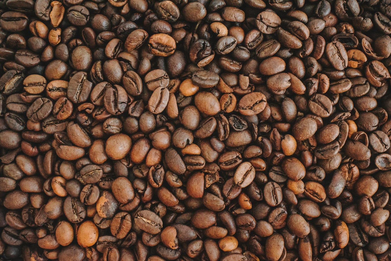 Aspen Coffee Roasters - Roastery photo 8