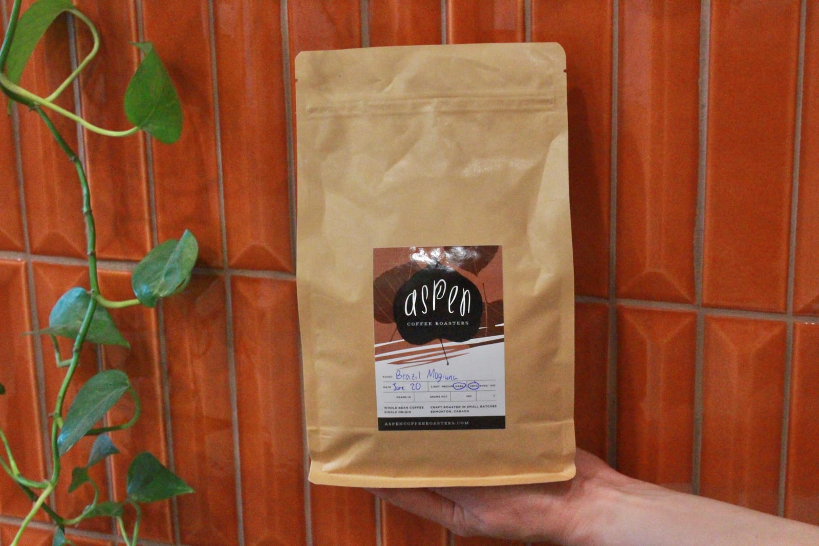 Aspen Coffee Roasters - Roastery photo 5