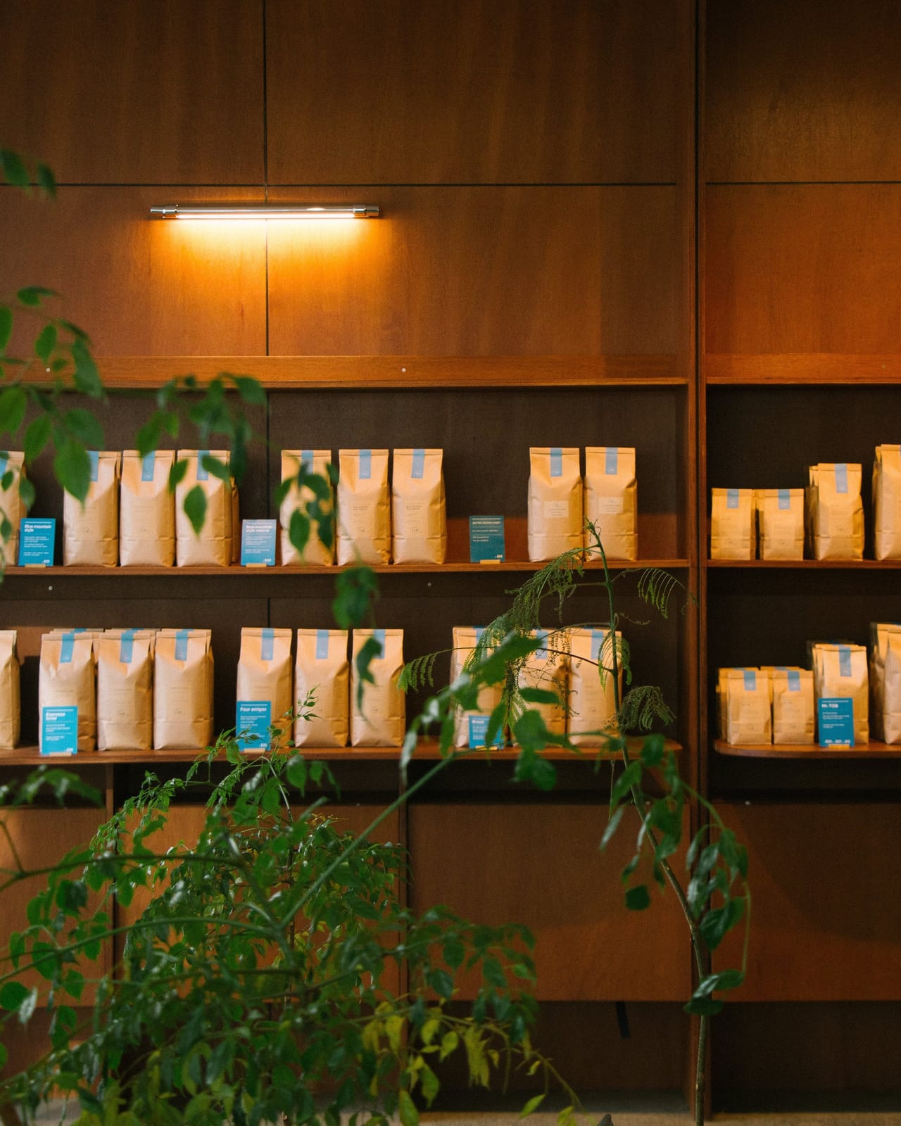Tob Coffee