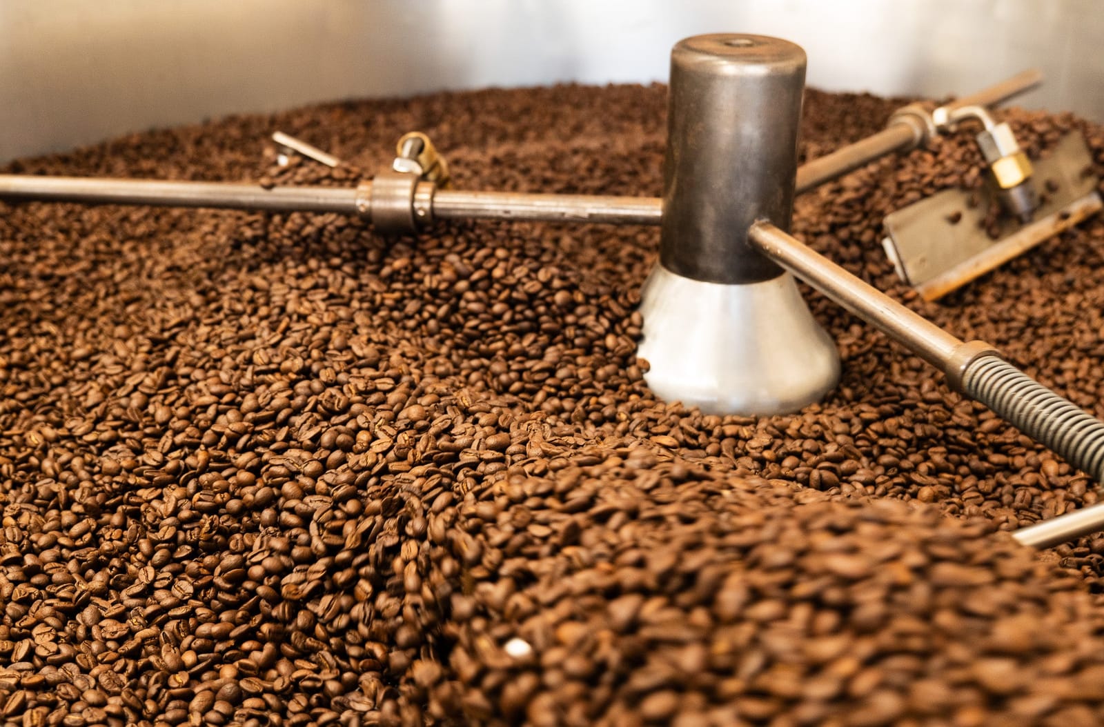 Authenticity Coffee Company photo 2