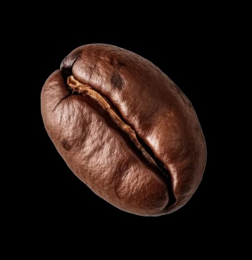 stmp coffee photo 4