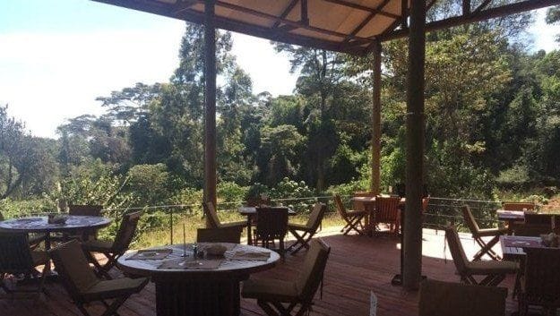 The River Café photo 3
