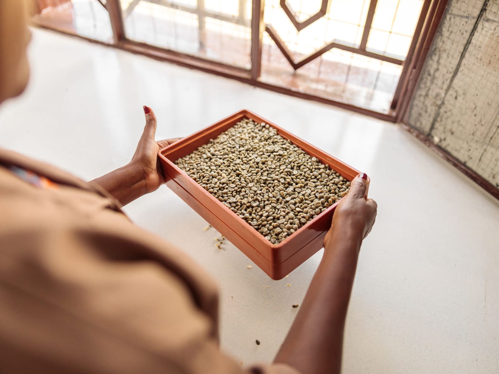 Kenya Co-operative Coffee Exporters (Kcce) photo 4