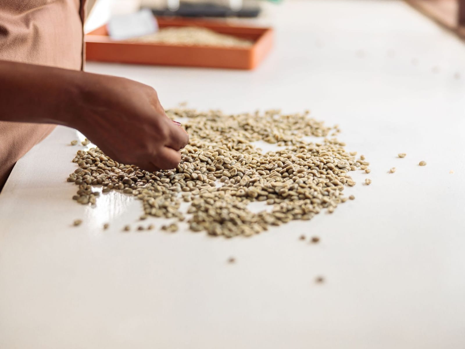 Kenya Co-operative Coffee Exporters (Kcce)