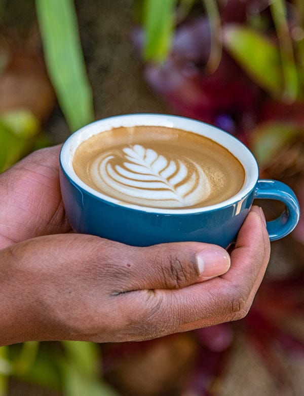 Spring Valley Coffee - Air Kenya photo 5