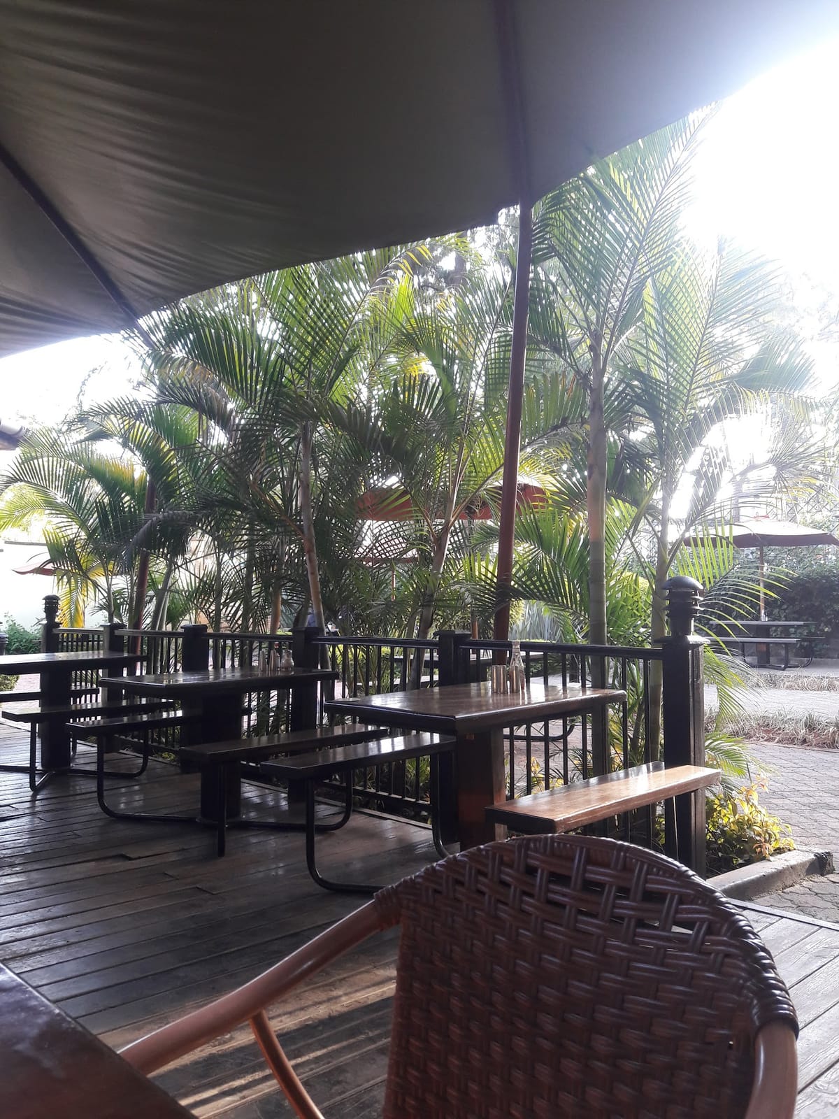 SAVANNA COFFEE LOUNGE (UPPER HILL, RALPH BUNCHE RD)