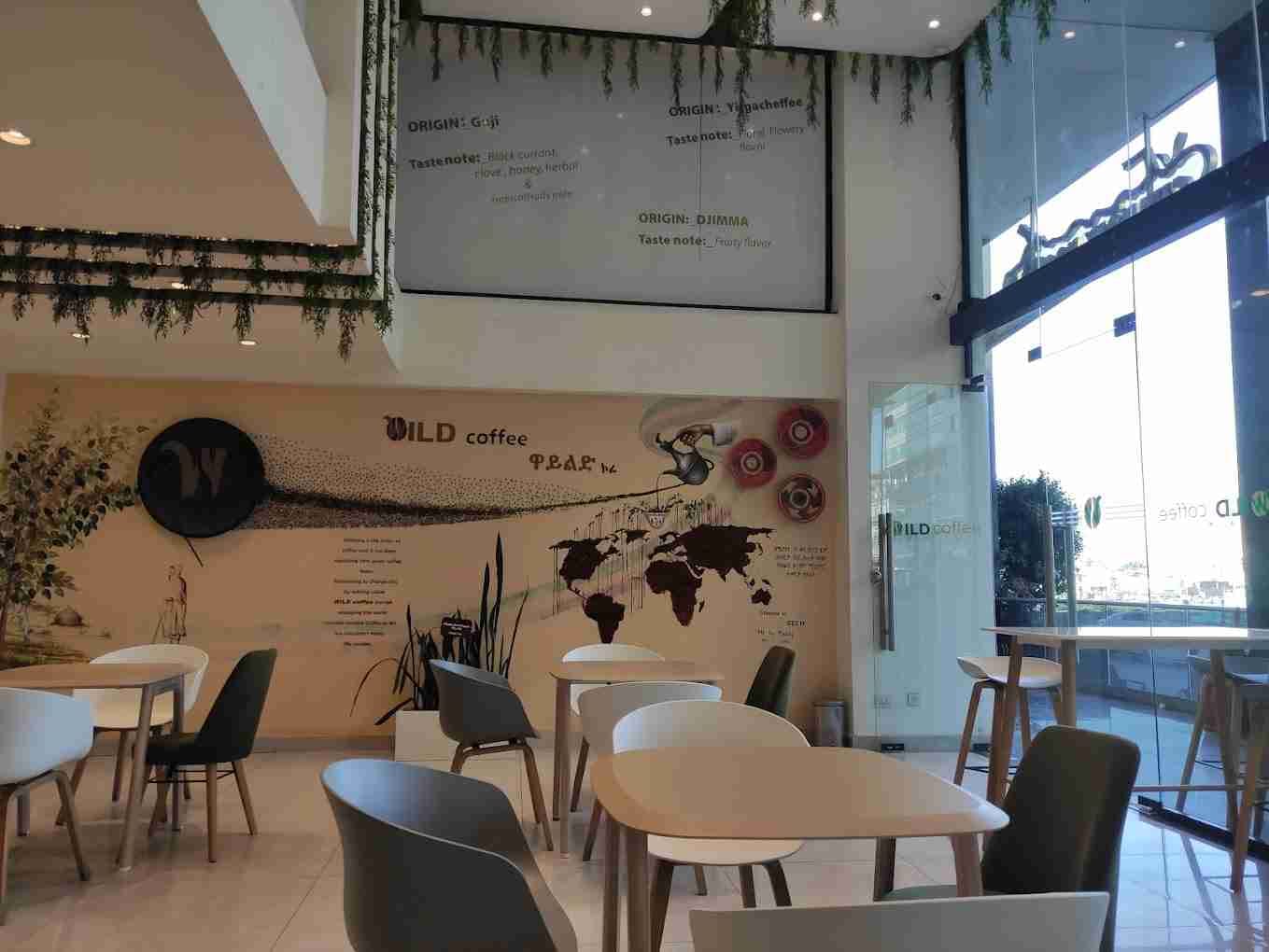 Wild Coffee 1st(GazeboSquare photo 5