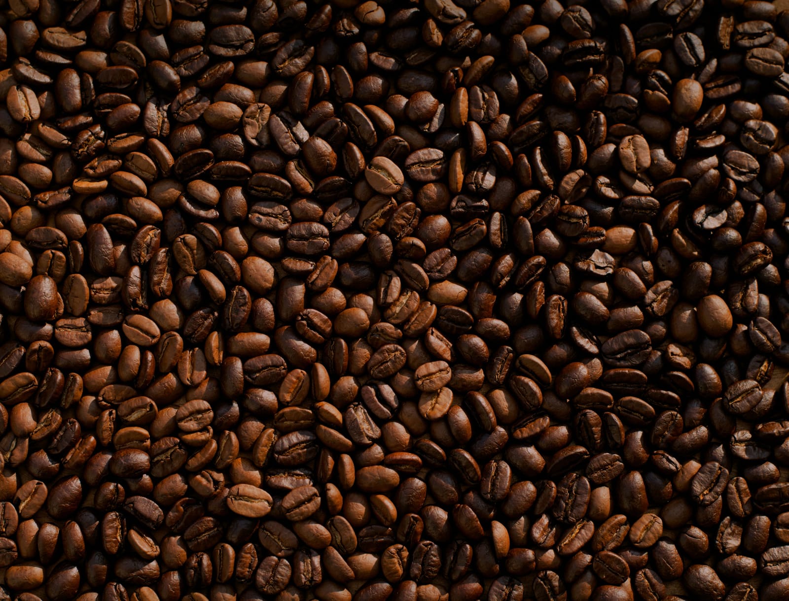 Mattot Coffee ማቶት ቡና photo 7