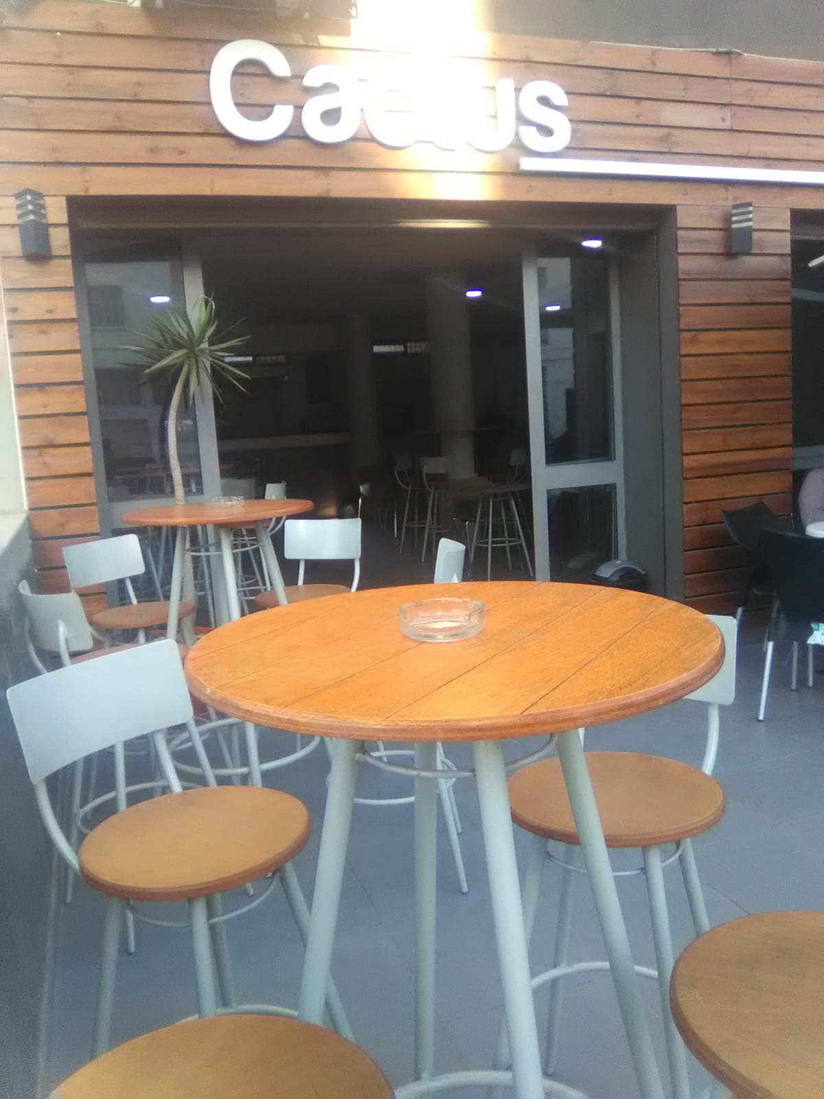 Cactus café