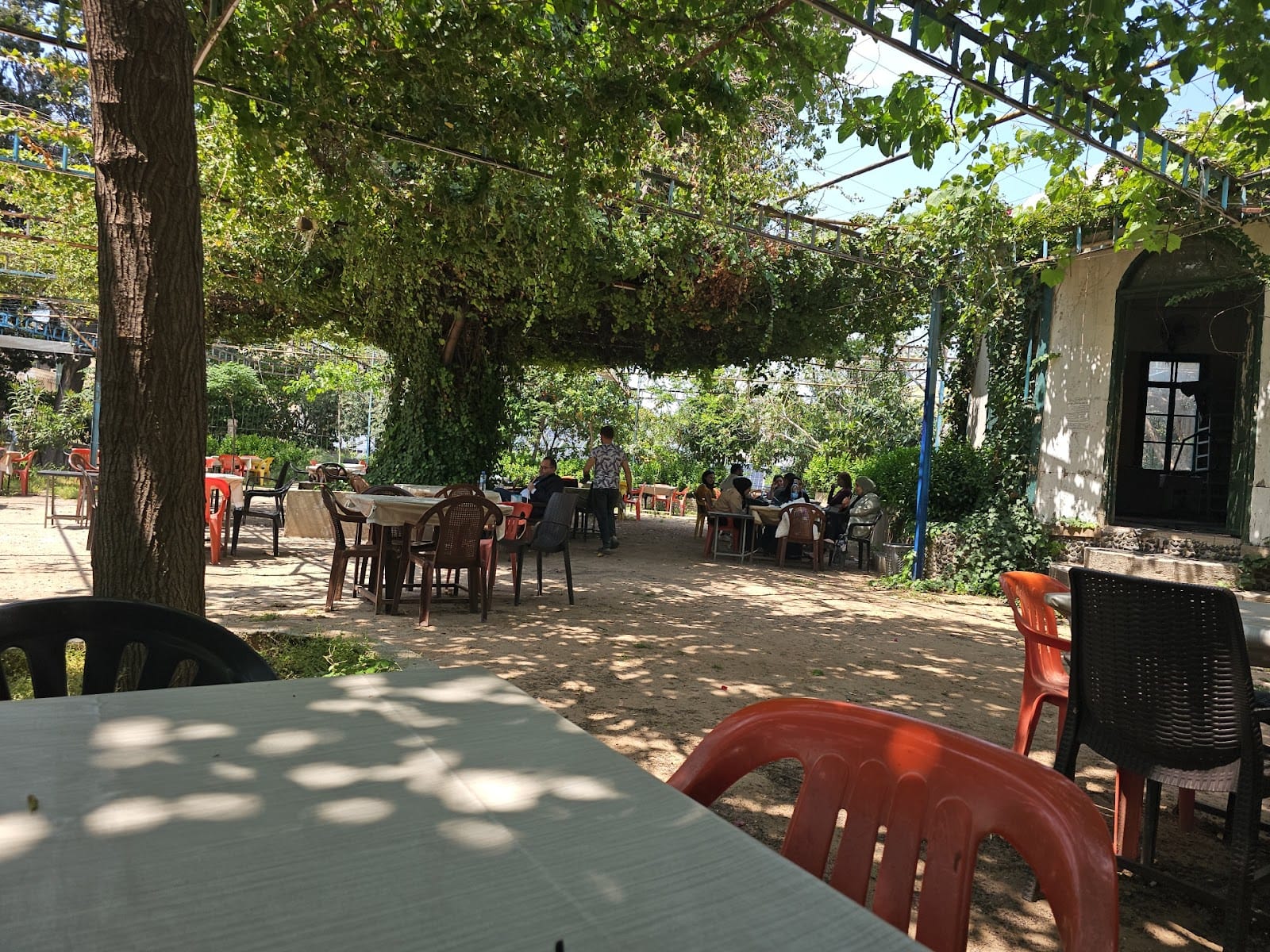 Al Tall Al Olya Café